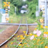 ゆるっと秋かな・・