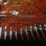静寂