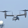 2019 三沢基地航空祭 CV-22