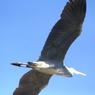 IMG_5221..2