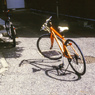 日差しに照らされる自転車