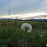 娘とママの北海道旅行のアルバムから　9　夕暮れ時