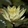 九月のお昼時