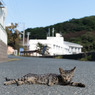 道路の真ん中で寛いではいけません