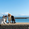 海と空とおとんとおチビ