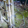竹垣