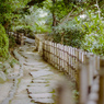 竹垣の小道