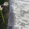 花の影