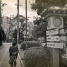 韓国人街