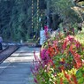 Railway