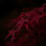 深紅