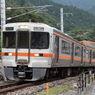 身延線　313系