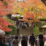 大興善寺の紅葉