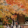 大興善寺の紅葉