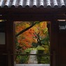 11/23龍安寺