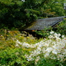 3B593121-197E-4892-AA32-9B96005105E1