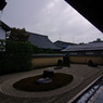 雨宿り