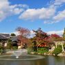 宇賀神社　紅葉*