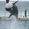 ジャンプ