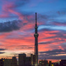 「The sky of the morning glow」