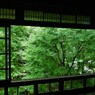 窓