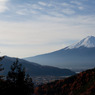 2010冬