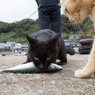 それいいな～～