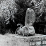 「自転車旅08」 (film)