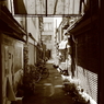 路地裏