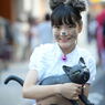 子猫