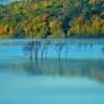 Bright blue morning