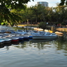上野恩賜公園