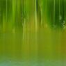 Various green stories
