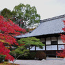 井山宝福寺にて・・・