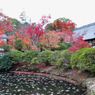 井山宝福寺　秋の庭園*