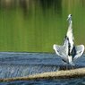 ちょっと日光浴