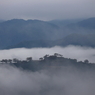 雲海竹田城