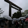 ヤヌアなう