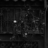窓