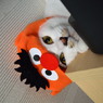 ハロウィーン(-_- )
