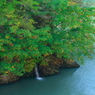 只見川秋景２０１９　①