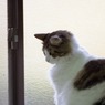 ノノ2