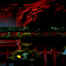 Fallen leaves in Nara -2-