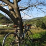 里山までサイクリング