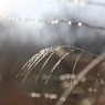 雨上がり