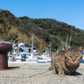 大沢くん、お久しぶり