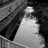 写真句：水面（みなも）の輝き：B&W21