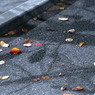 紅葉・過渡期・夜　その1