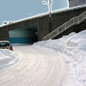 IMG_8611.JPG  01