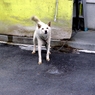IMG_4823.JPG  01